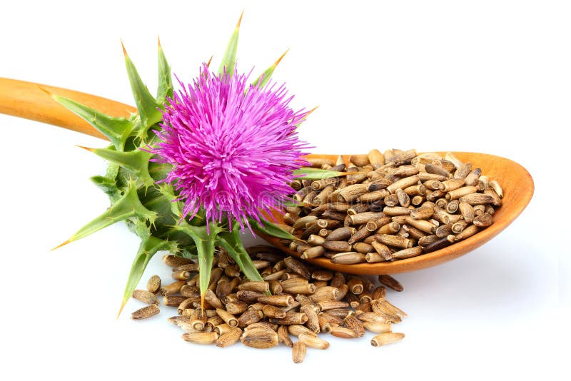 Расторопша Milk Thistle