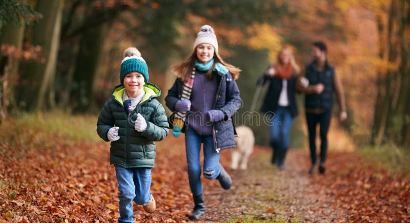 Опишите фотографию семейная прогулка с собакой Park Teens Images Browse 522,448 Stock Photos, Vectors, and Video Adobe Stock