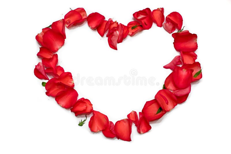 Сердце из лепестков роз