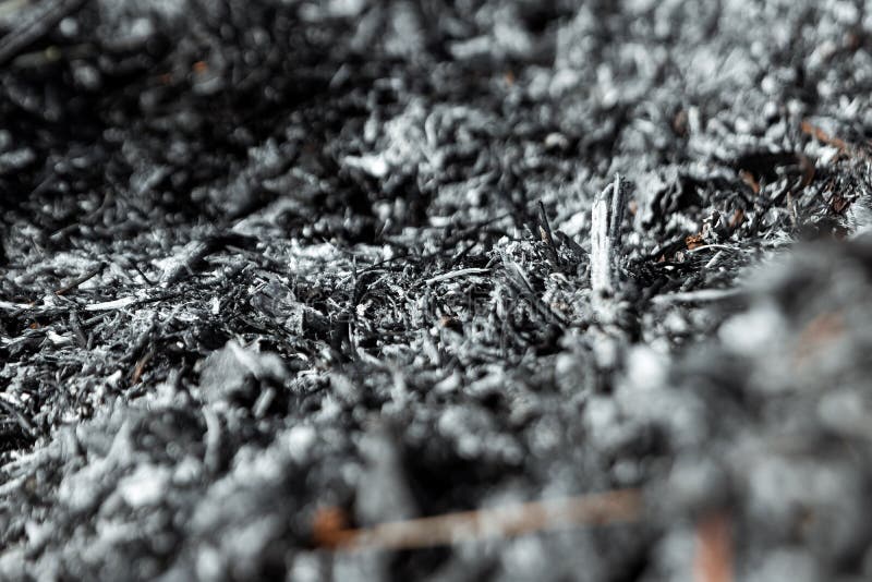 Серый пепел, обгоревшие растения, абстрактная текстура угл и золы Макрос  Стоковое Изображение - изображение насчитывающей сжигали, угли: 159733313