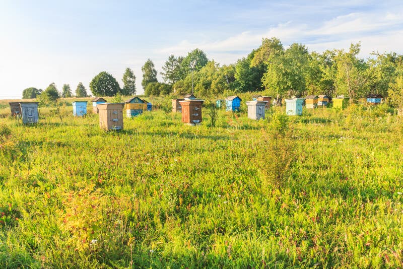 Ферма улей московская область 46н 12937 фото Download Beehive (Prefab) mod for Farming Simulator 19 at ModsHost! Visit https: