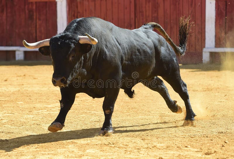 бык с 5 ногами