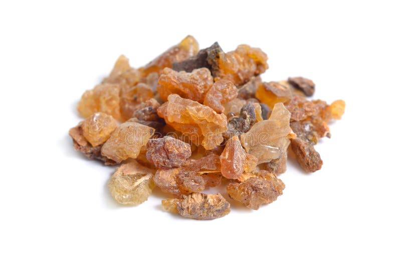 Commiphora Myrrha