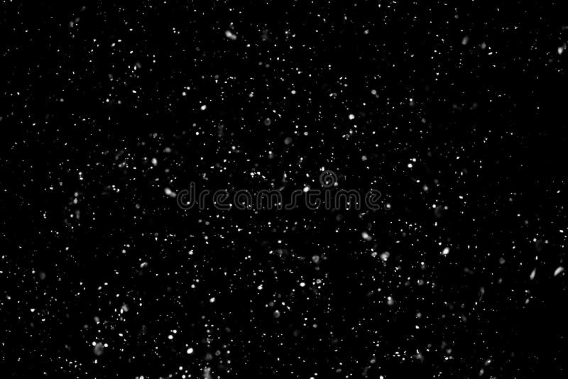 Снег на черном фоне стоковое фото. изображение насчитывающей цветок -  165504024