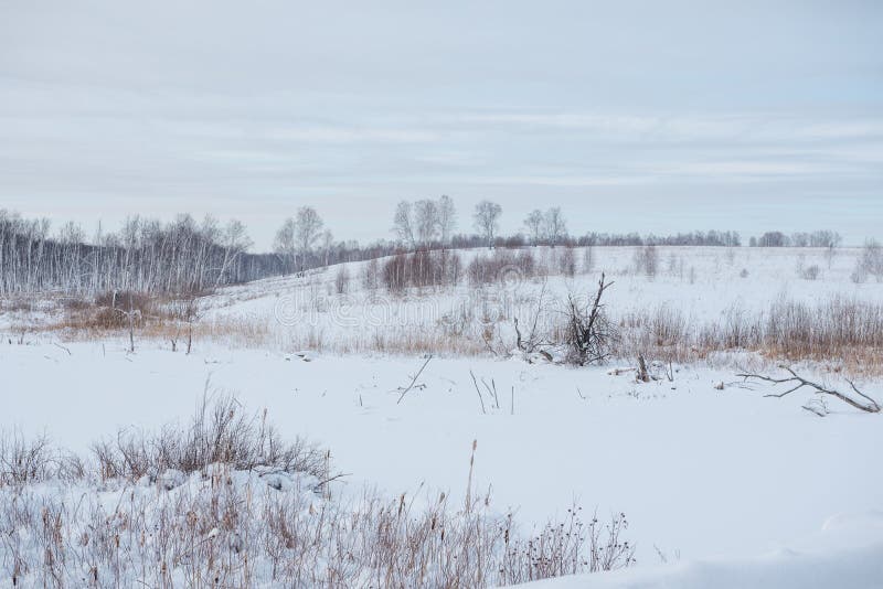 Фото Поле Снег