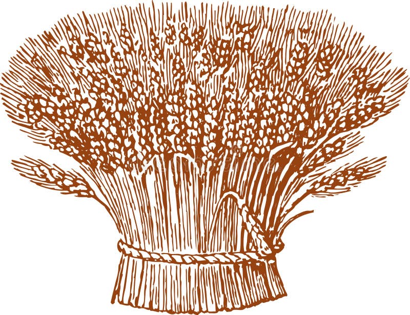 Сноп сена рисунок