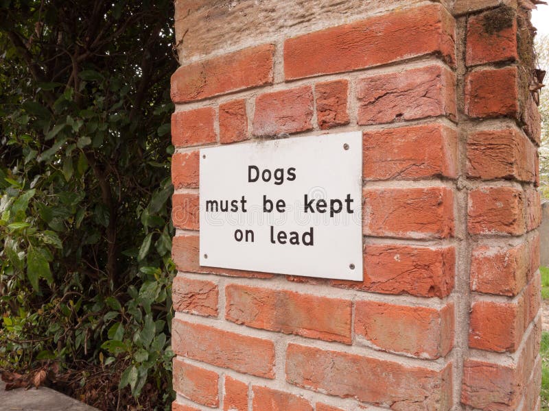Dogs must keep on a lead. You must keep Dogs on a lead картинка для детей.