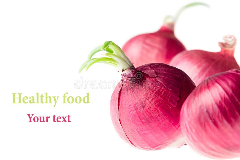 Лук от семи. Лук групп. Посадка лука в саду средняя группа. Посадка лука на окне в детском саду. Лук групп.