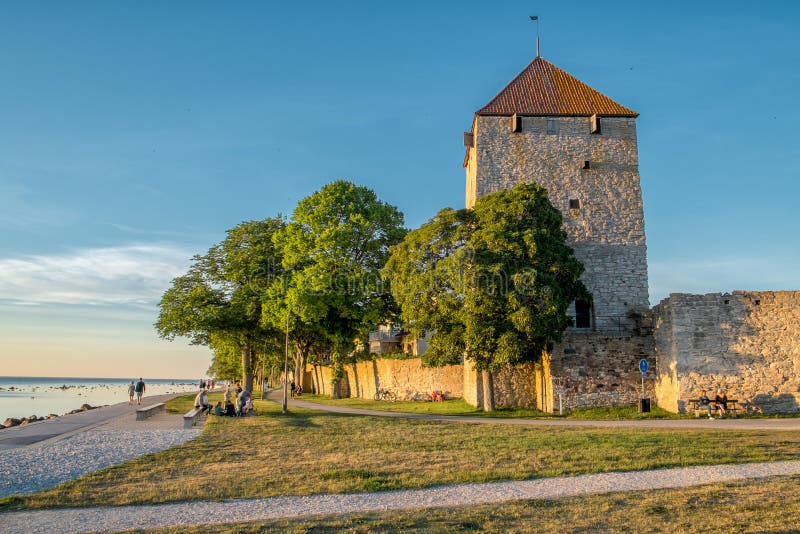 Пехотинцы острова Готланд