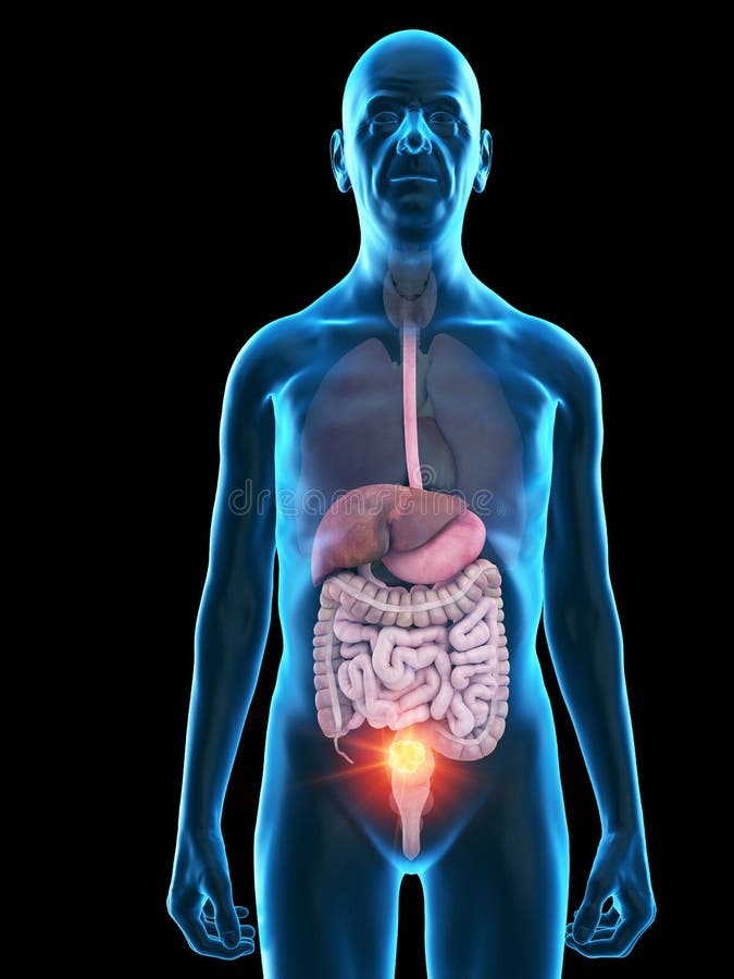 Анатомия лица старого человека. Костлявое тело референс. Контрапост академический рисунок. Скелет горбатого человека. Dionysius sculpt 3в.