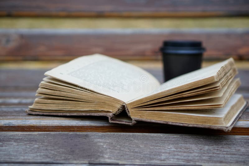 На столе лежит книга которая отражается. Толстой лежит с книгой. Книги лежат на деревянных досках. Он книжку пухлую читал, а рядом, под скамейкой. Ровно и не Ровно лежит книга на столе.