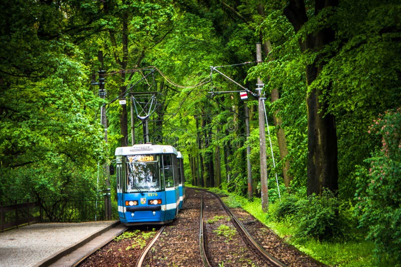 Трамвай В Сокольниках Через Лес Фото