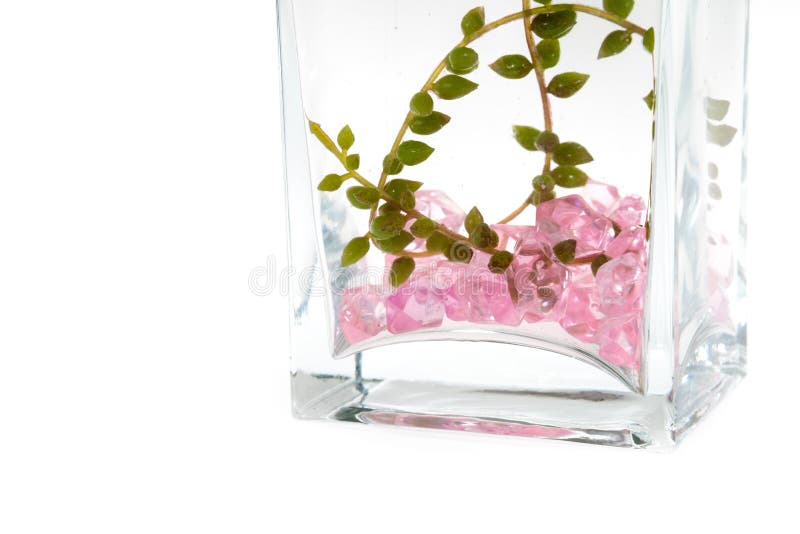 Розовыми стеклами внутрь. Сколько наливать воды вазу для кустовых роз.