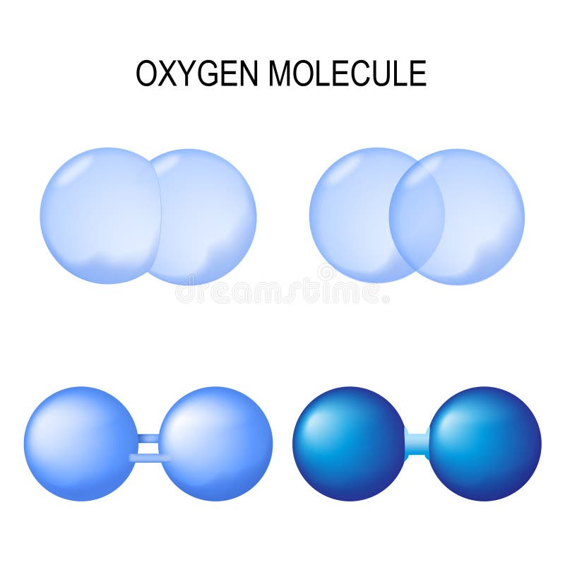 Молекуле кислорода двойная связь
