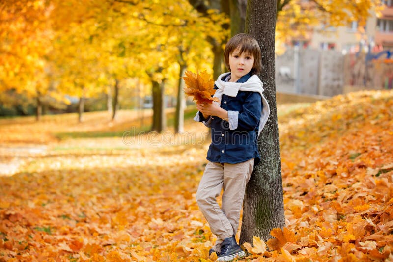 Он любит играть листьями. Мальчик играет в парке. Дети в парке бросают листья осень. Осень дети играют с опавшими листочками в парке. Пацан играет в парке.