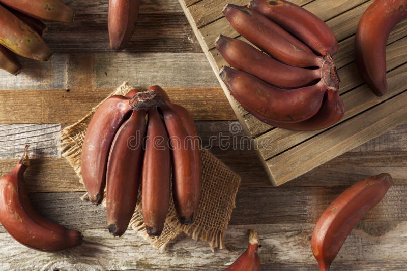 நெஞ்செரிச்சல், பக்கவாதம், உடல் சோர்வு, இரத்த அழுத்தம், கண் பார்வை தெளிவிற்க்கு ச