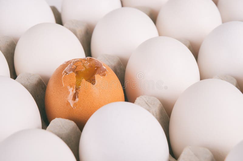 Яйцо белое. Яйцо белое фото. Яйцо белое. Яйцо на белом фоне. Много белых яиц.