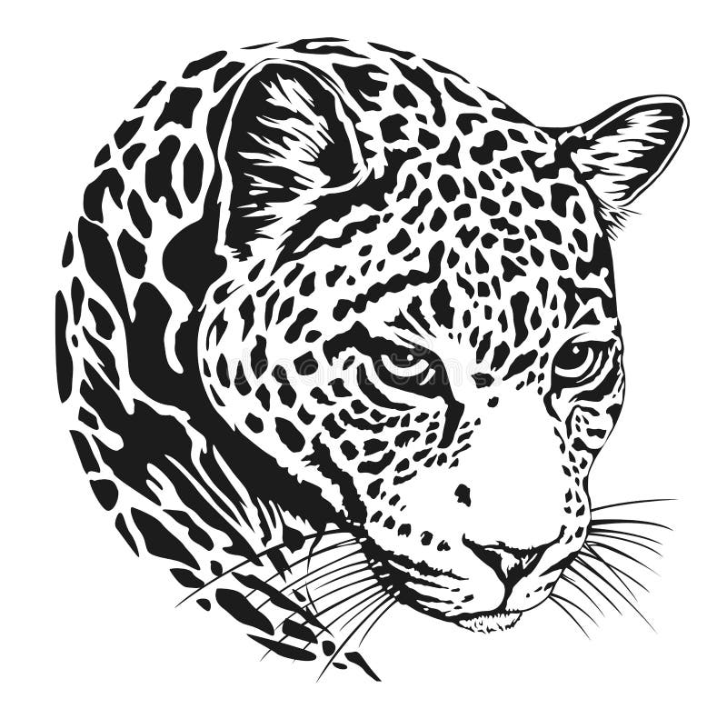 Татуировка стороны леопарда, иллюстрация вектора, печать Иллюстрация  вектора - иллюстрации насчитывающей черный, шарж: 102332315