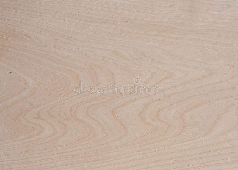 Текстура древесины дерева вяза Стоковое Изображение - изображение насчитывающей кривый, макрос: 123060415