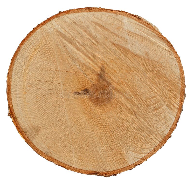 Текстура березовой древесины Стоковое Изображение - изображение насчитывающей поверхность, реально: 121019911
