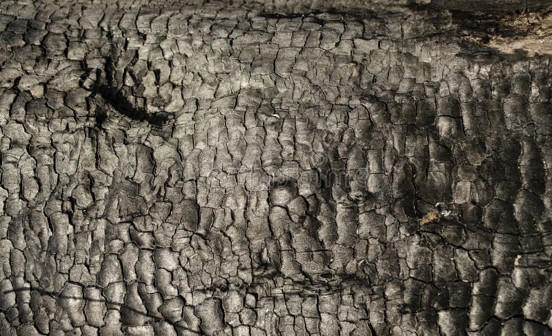 текстура сгоревшего дерева после пожара. структура на поверхности угля.  Стоковое Изображение - изображение насчитывающей уголь, выдержка: 215690257