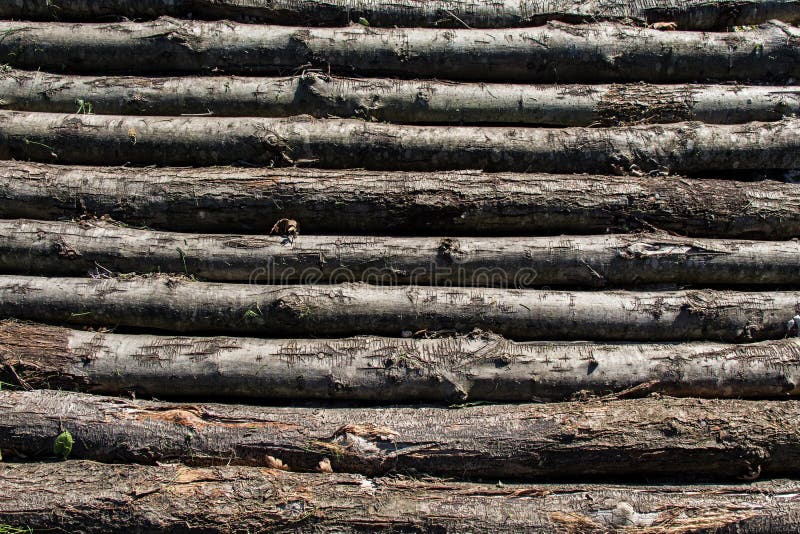 Текстура Backgroud деревянной формы деревянные палочки Стоковое Изображение - изображение насчитывающей паркет, земля: 194318091