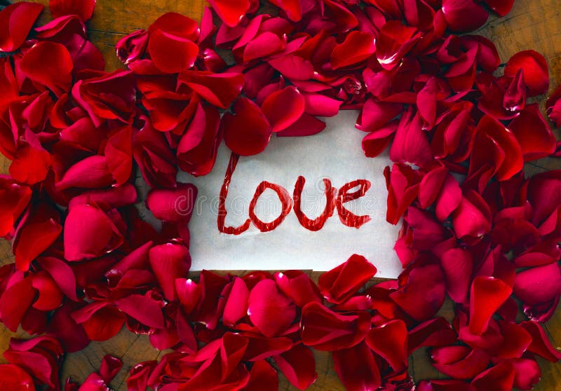 Я тебя люблю лепестками роз песня. I Love you! Red Roses. I Love you Roses. I Love you Romantic Rose.