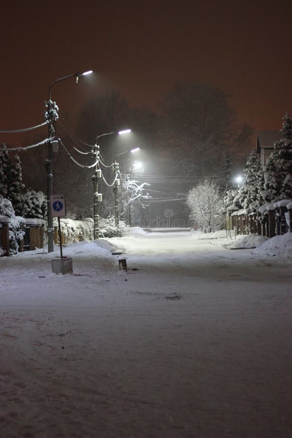 Осинники зима площадь
