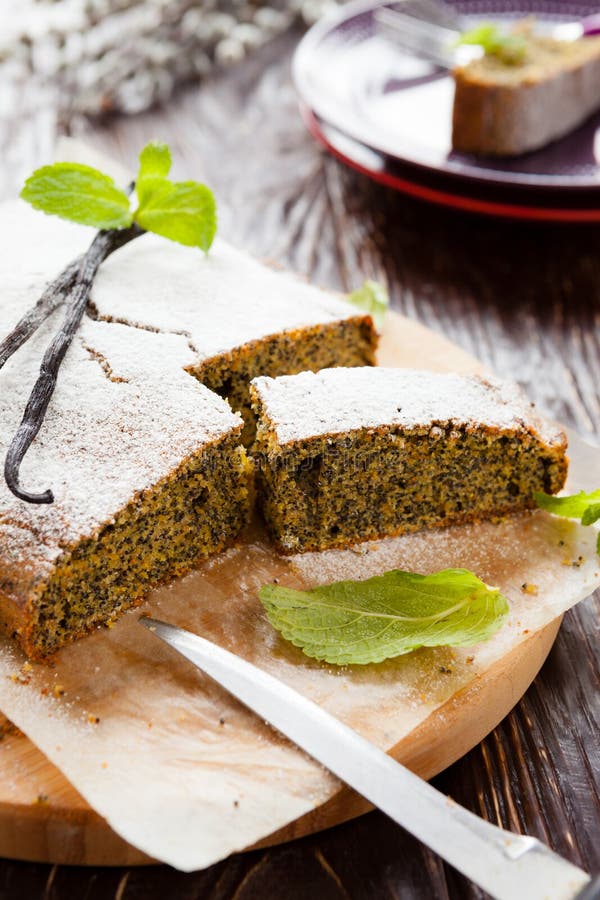 Seed Cake фотосток