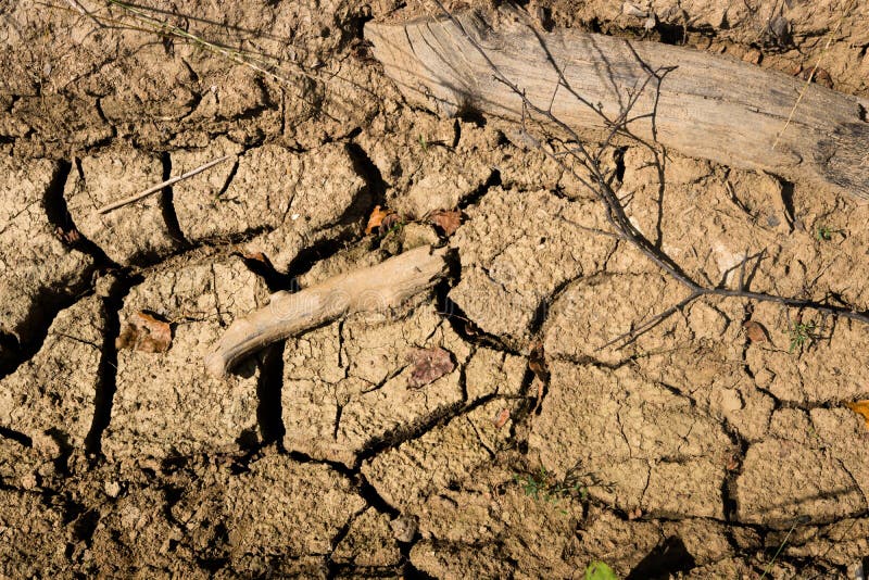 Вытаптывание почвы. Потери почв. Борьба против засухи. Последствия засухи в лесу.