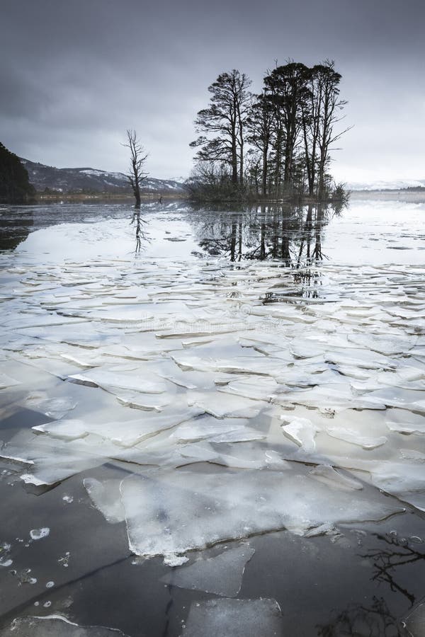 Трещины озера. Треснул лед на озере. На лесных Озерах треснул лед. Серый лёд на растрескавшейся.