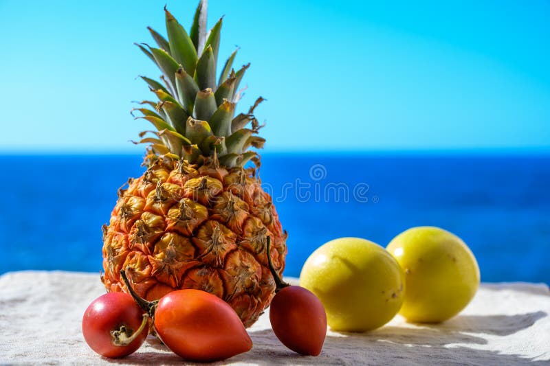 Манго море