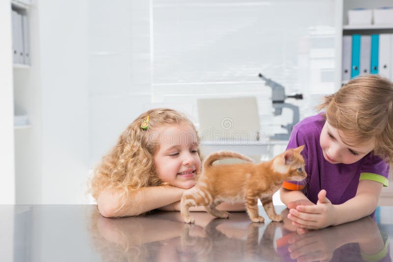 Petting their Cats. Petting sister