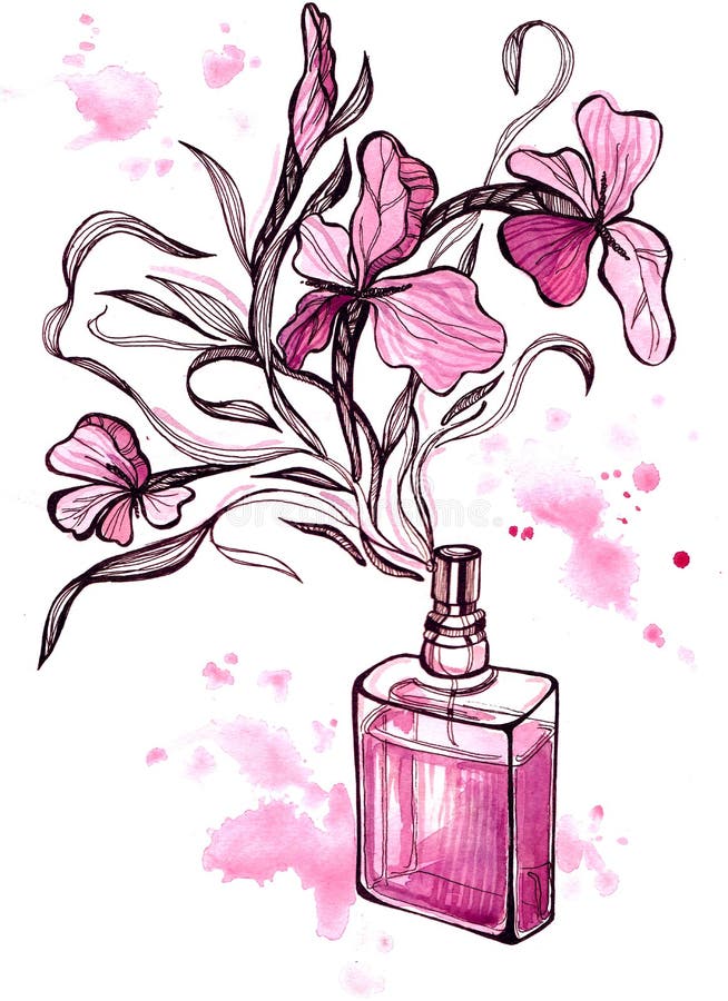 Реклама духов рисунок для срисовки