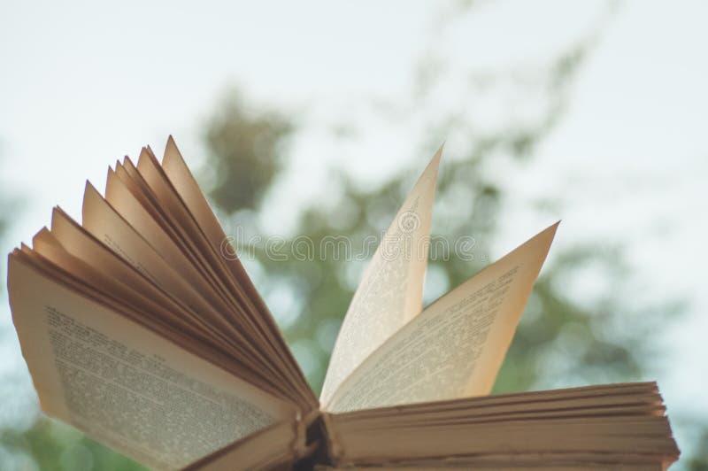 Уютный натюрморт осени: чашка горячего кофе и раскрытой книги на винтажном windowsill и дожде снаружи Осень афоризмов дождь