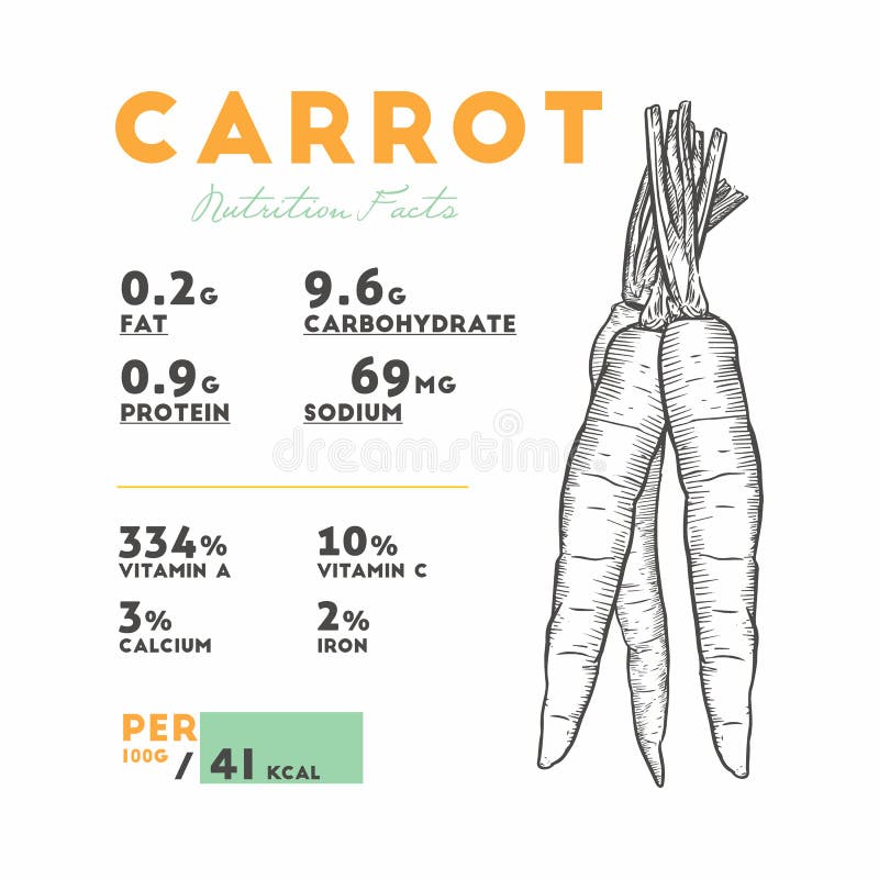 Сколько углеводов в моркови. Carrot hand draw. Морковь по корейски вектор. Carrot draw. Single Carrot on the hand.