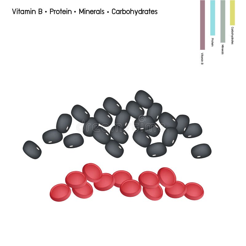 Protein minerals vitamins