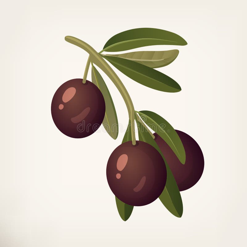 Элемент плодовое. Фиолетовые оливки. Ягодки оливки. Маленькие фиолетовые оливки. Игрушка оливковая ягода.