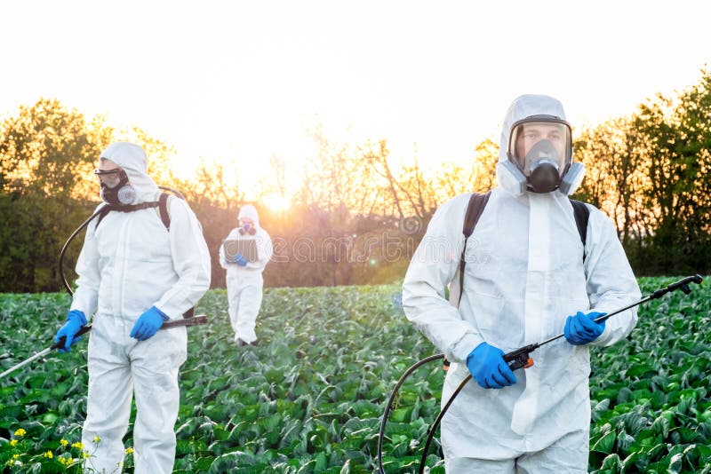 Маска поля. Пестицидные поля овощей скандал. В результате длительного применения ядохимикатов на полях