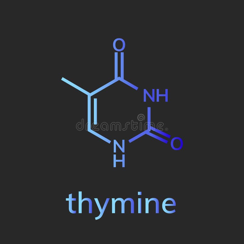 Тимин формула. Химическая формула Тимина. Тимин формула химическая. Thymine. Тимин красивая формула.