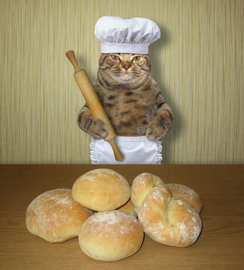 Кот пекарь
