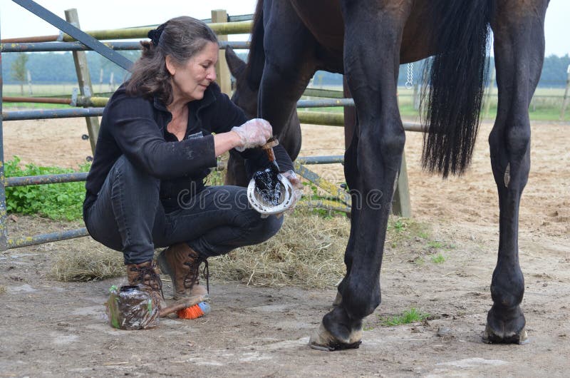 Беременна ли лошадь. Девушка холит коня. Больно ли лошадям менять подковы. Штаны для подковывания коней. Больно ли лошадям при подковывании.