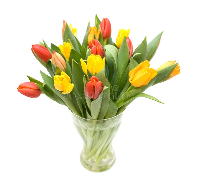 Тюльпаны купить в тольятти. Желтые тюльпаны. Тюльпаны в вазе на белом фоне. Вьетнамский тюльпан. Розы большие бутоны букет 8.