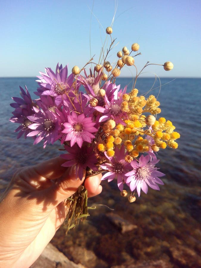 Цветок в руке море