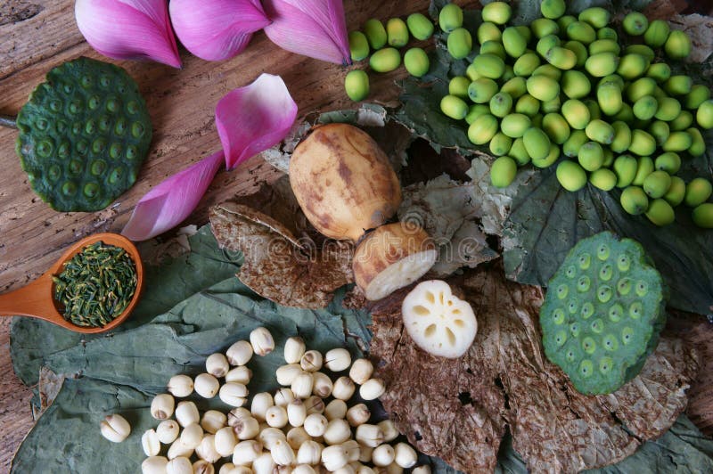 Collection Lotus Flower, Seed, Tea, Healthy Food Stock Photo - Image of amazing,