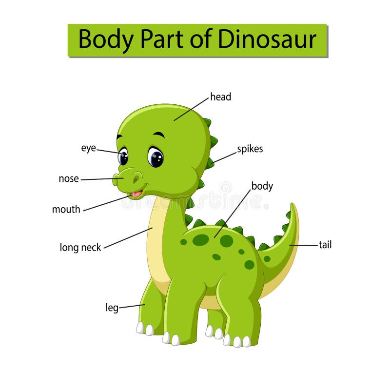 Динозавр на английском. Части тела динозавра для детей. Части тела динозавра на английском. Строение динозавра. Динозавры на английском для детей.