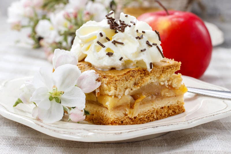 Cake with Whipped Cream