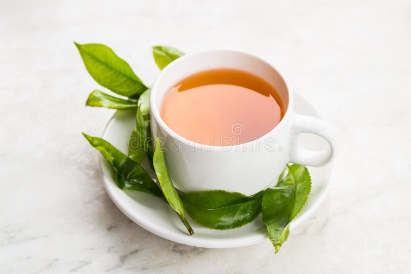 Фото свежих чайных листьев. Shutterstock Tea Leafs. Shutterstock Tea Leafs Bud. Текст на открытом воздухе чай со свежим