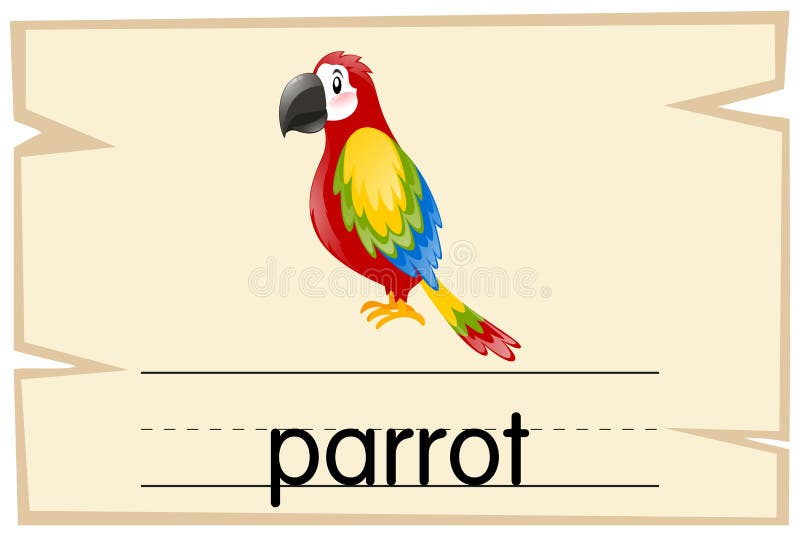 Слово попугай. Попугай словарное слово. Parrot рисунок слова. Parrot со словом для детей.