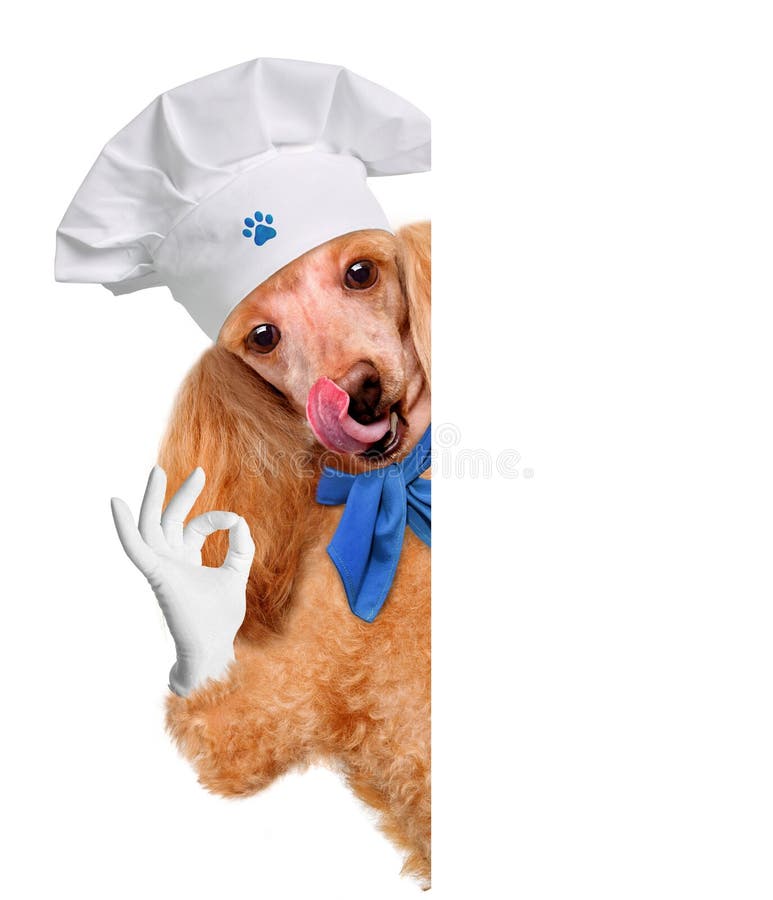 Мультяшны песик в поварском колпаке. Собака повар. Пес шеф повар. Собака в поварском колпаке вектор.